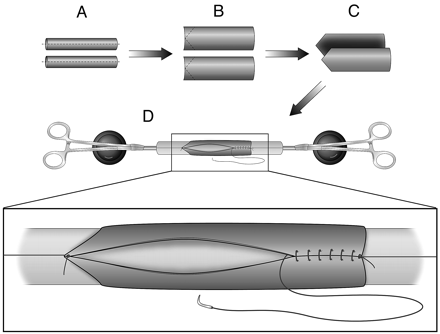 Fig 2.