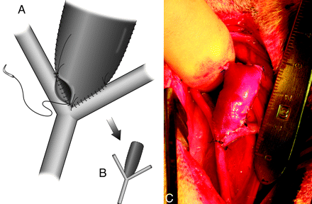Fig 3.