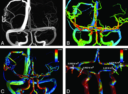 Fig 6.