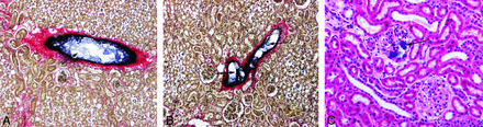 Fig 3.