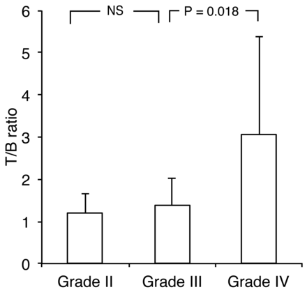 Fig 2.