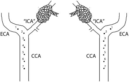 Fig 2.