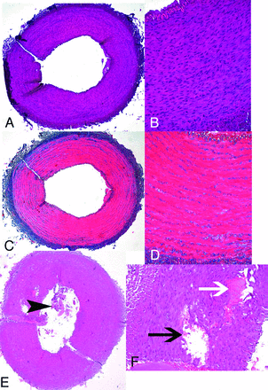 Fig 5.