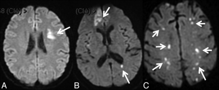 Fig 1.
