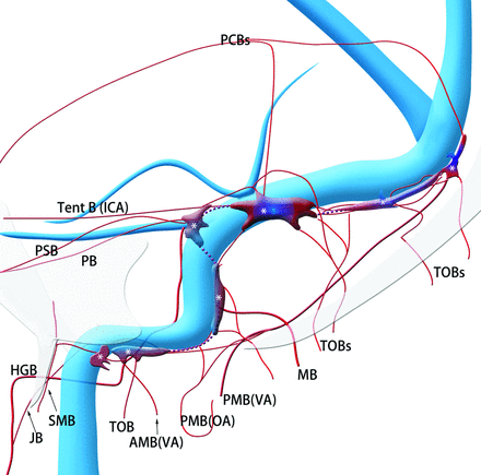 Fig 1.