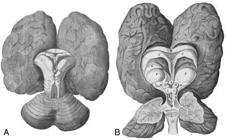 Fig 4.