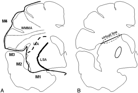 Fig 1.