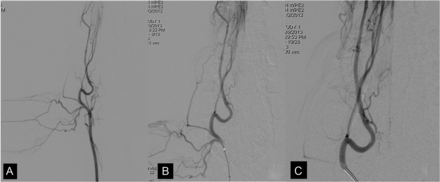 Fig 1.