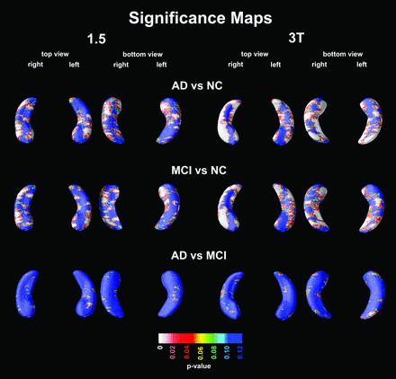 Fig 1.