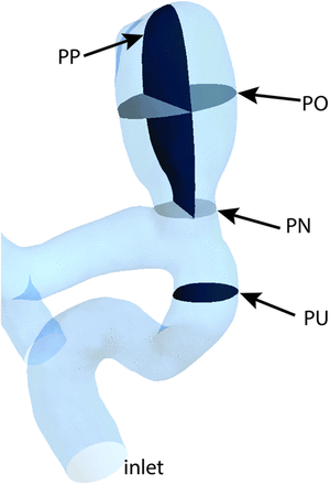 Fig 1.