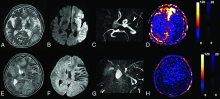 Fig 3.
