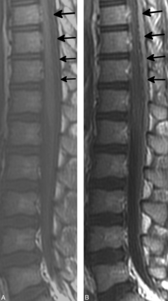 Fig 1.