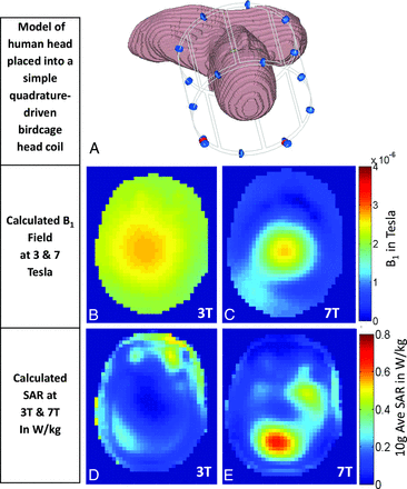 Fig 12.