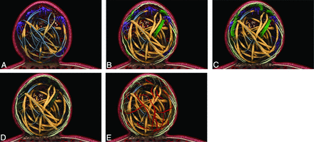Fig 1.