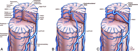 Fig 9.