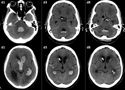 Fig 1.