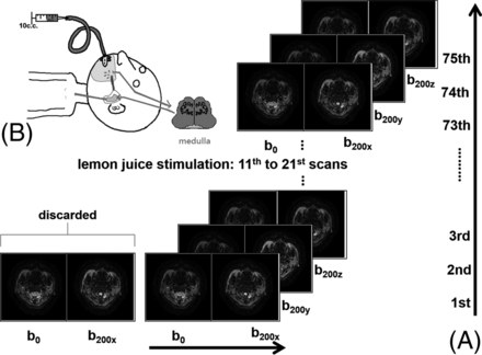 Fig 1.
