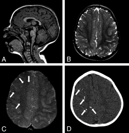 Fig 3.