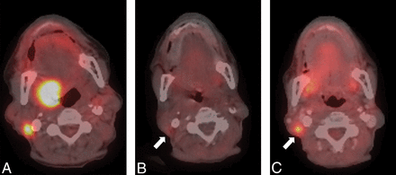 Fig 1.