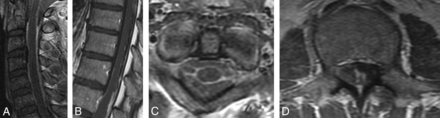 Fig 1.
