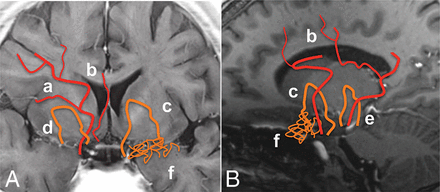 Fig 1.