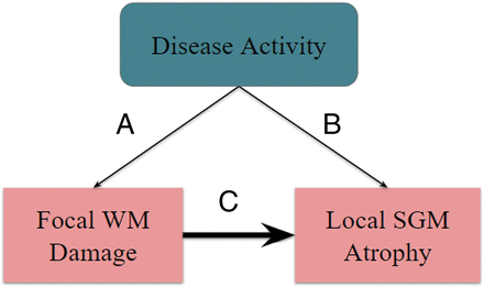 Fig 1.