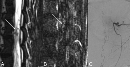Fig 1.