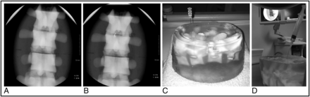Fig 1.