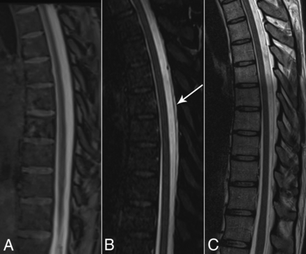 FIG 6.