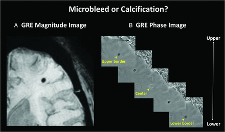 Fig 1.