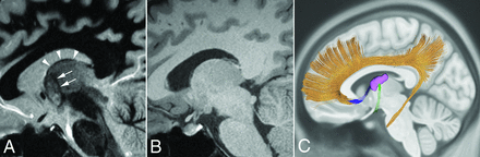 FIG 6.