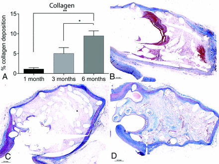 FIG 2.