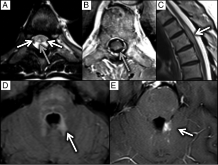 FIG 3.