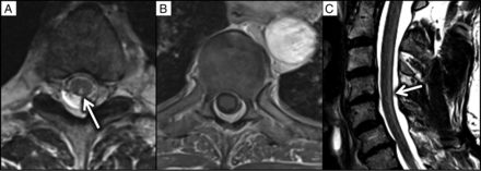 FIG 5.