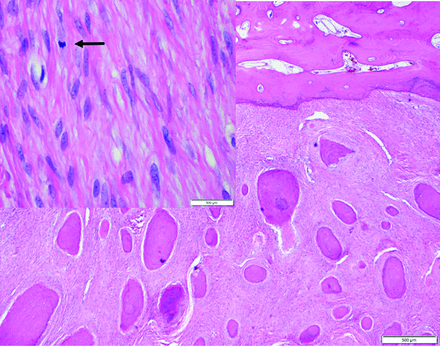 FIG 12.