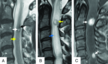 FIG 8.