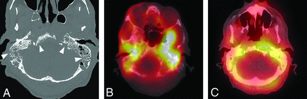 FIG 8.