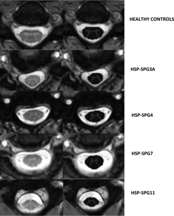 FIG 1.