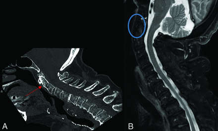 FIG 8.