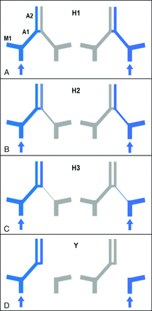 FIG 1.