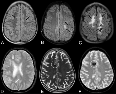 FIG 3.