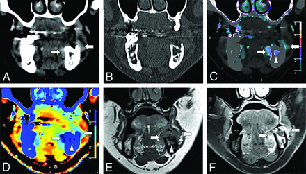 FIG 6.