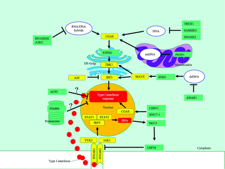 FIG 1.