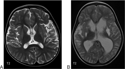 FIG 9.