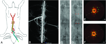 FIG 3.