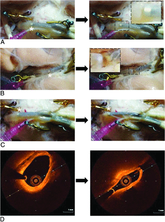 FIG 4.
