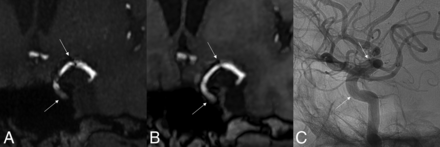 FIG 1.