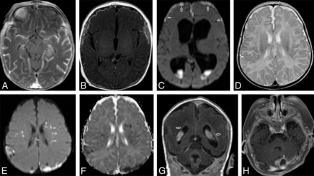 FIG 1.