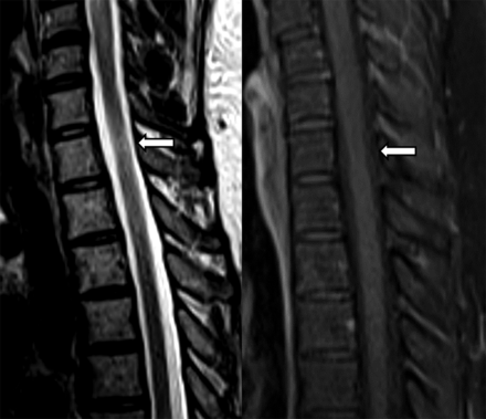 FIG 4.