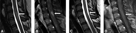 FIG 6.